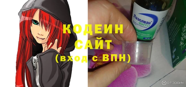 молекула духа Пестово